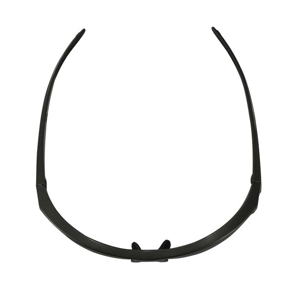 Ryval 2 smoke lens sunglasses